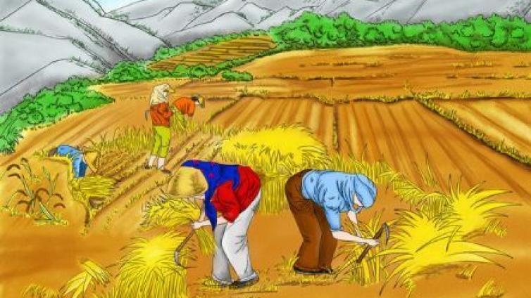新高考改革下，教育更需要模拟体验