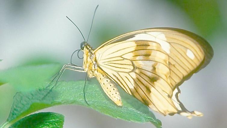 高考生物备考：生物最受欢迎的高三纠错笔记