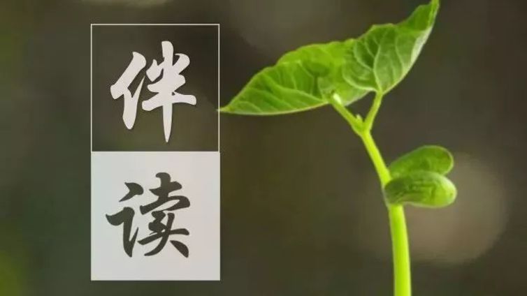 好的家庭教育浓缩为这几句句话！