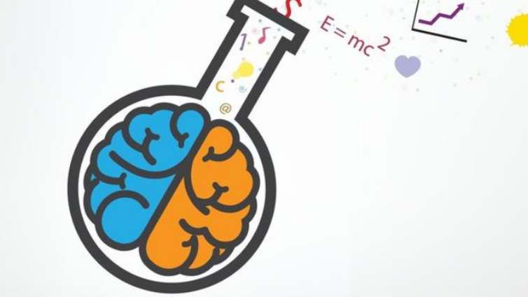 小学教学中如何培养数学思维？