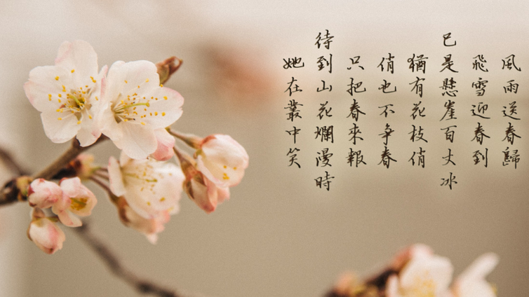 小学语文阅读理解答题万能公式