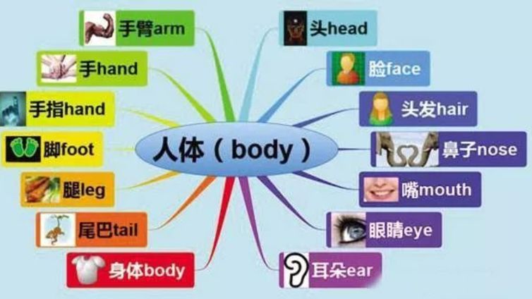 小学英语单词学习的好方法