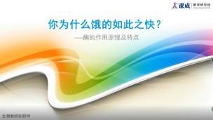 生物：你为什么饿的如此之快？