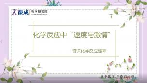化学：化学反应中的“速度与激情
