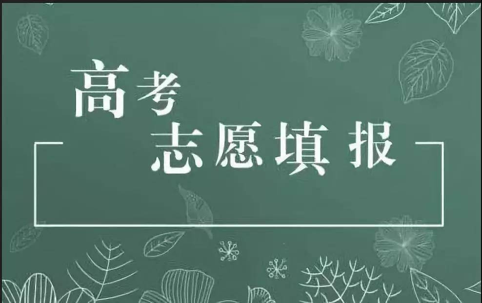 在线辅导