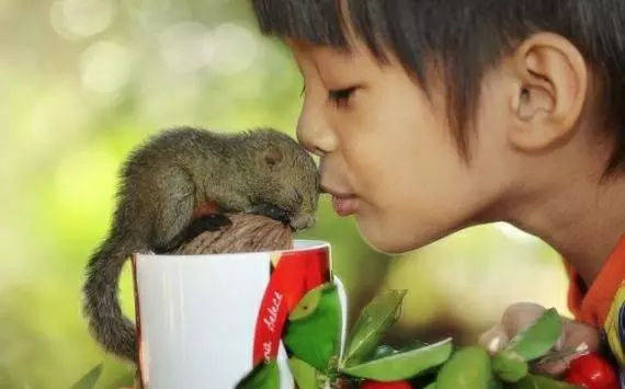 在线学习