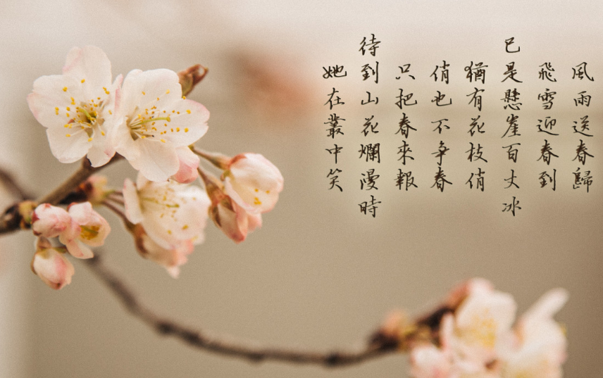 课成教育