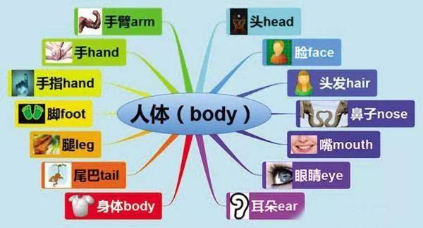 线上一对一